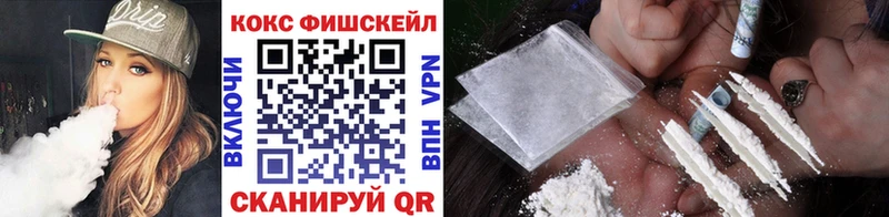Кокаин Fish Scale где купить наркоту Карачаевск