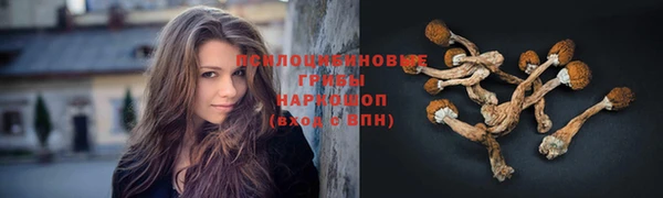 MDMA Premium VHQ Аркадак